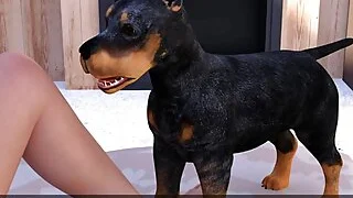 xnxx 3